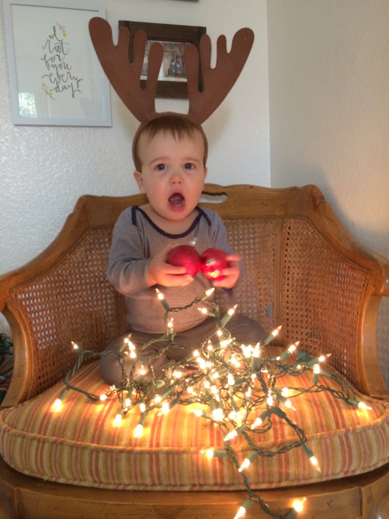 our little reindeer.